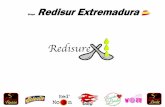 Redisur Extremadura REDISUREX... · 2020-02-08 · Extremadura agrupados bajo una misma oficina de comercio para la promoción y exportación de los productos del grupo . Redisur