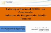 Estrategia Nacional REDD+ en Guatemala Informe …Estrategia Nacional REDD+ en Guatemala Informe de Progreso de Medio Termino Por. Carlos R. Bonilla A. Coordinador Programa REDD+ MARN-BID-FCPFSistema