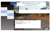 Relatorio de Impacto Ambientalarchivo.seam.gov.py/sites/default/files/users/control/17419_miguel... · en explotación “a cielo abierto”, por lo tanto esta directamente afectado