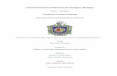 Universidad Nacional Autónoma de Nicaragua, Managuarepositorio.unan.edu.ni/8154/1/18305.pdf · orientadas a garantizar condiciones personales y materiales de trabajo capaces de mantener