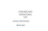 CONFIABILIDAD OPERACIONAL “CO”confiabilidad operacional “co” ... mantenimiento 2 tecnico en operaciones y mantenimiento 1 multifuncional o&m 3 multifuncional o&m 2 multifuncional
