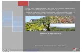 Ordenación de los Recursos Naturales · ámbito territorial, cuatro figuras de protección de acuerdo con la tipología de los espacios naturales protegidos que establece el artículo