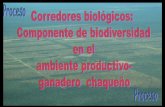 Corredores biológicos - visión de biodiversidad · Son áreas de extensiones variables que permiten el libre desarrollo de la biodiversidad (fauna y flora), en toda su extensión,