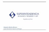 Alejandro Medina Moreno Superintendente Adjunto de Riesgosfelaban.s3-website-us-west-2.amazonaws.com/memorias/archivo... · Empresa de servicios fiduciarios. Empresas de seguros y