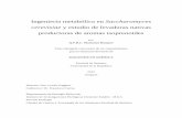 Ingeniería metabólica en Saccharomyces cerevisiae y estudio de ...riquim.fq.edu.uy/archive/files/c4ce573ce1f750bf98a81bc9e51716d0.pdf · Ingeniería metabólica en Saccharomyces