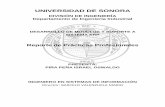 UNIVERSIDAD DE SONORAcp.isi.uson.mx/practicas_docs/211213871-reporte.pdf · 2016-04-13 · UNIVERSIDAD DE SONORA DIVISIÓN DE INGENIERÍA Departamento de Ingeniería Industrial DESARROLLO
