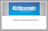 MODELO DE PREVENCION DE DELITOS - Flexmin DE PREVENCION DE DELITO.pdfMODELO DE PREVENCIÓN LEY N 20.393 El Modelo de Prevención de la Empresa Flexmin Ltda está definido como un conjunto