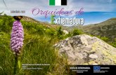 Orquídeas deextremambiente.juntaex.es/files/2020/CALENDARIO... · 24 – Día Europeo de los Parques Ophrys apifera var. almaracensis Llena 7 Menguante 14 Nueva 22 Creciente 29.