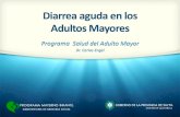 Diarrea aguda en los Adultos Mayorespmi.salta.gov.ar/Campana/contenidos/Diarrea_Aguda_Adult... · 2019-08-16 · DIARREA AGUDA EN EL ADULTO MAYOR No hay datos claros sobre el impacto