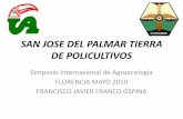 SAN JOSE DEL PALMAR TIERRA DE POLICULTIVOS · 2013-05-27 · maíz, el arroz de secano y el trigo de secano (Aiyer 1949). •Gran parte de la producción de los cultivos básicos