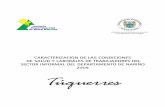 CARACTERIZACION DE LAS CONDICIONES DE SALUD Y LABORALES DE TRABAJADORES DEL …idsn.gov.co/site/images/publicaciones/riesgos_laborales... · 2013-06-28 · CARACTERIZACION DE LAS