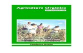 Colección Revista Agricultura Orgánica 1995-1999 1999-3...conservación de alimentos, condimentos y plantas medicinales en el hogar. Creemos que estas cosas hacen del proyecto una