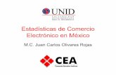 Estadísticas de Comercio Electrónico en Méxicodsc.itmorelia.edu.mx/~jcolivares/courses/ecom072q/ecom...operaciones con código de barras. •En México las empresas están clasificadas