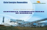 I © Santiago García Garrido 2011 - renovetecrenovetec.com/cursosonline/biomasa-curso-on-line-indice.pdf · 1.8 ventajas y desventajas en el uso de biomasa 14 1.9 la generaciÓn