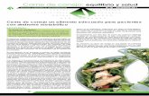 Carne de conejo un alimento adecuado para …cogal.net/pdf/articulointeres7.pdfCarne de conejo un alimento adecuado para pacientes con síndrome metabólico • En personas con hipertensión