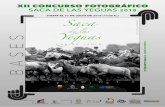 CONCURSO SACA bases 2018...temática de la "Saca de las Yeguas", evento que se realiza en el mes de Junio en el término de Almonte. 3. Las fotografías serán inéditas y no premiadas