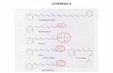 Presentación de PowerPoint · ( 3 ) El retinol fosfatö se ha demostrado que puede intervenir en la sintesis de algunas glicoproteinas y mucopolisacåridos actuando intermediariamente
