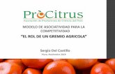 “EL ROL DE UN GREMIO AGRICOLA” - peruvianmango.orgperuvianmango.org/wp-content/uploads/2018/11...constituyen elementos fundamentales para el desarrollo de cualquier sector, el