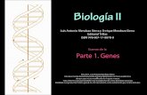 Mendoza, L. et al., Biología II Examen Parte 1. Genes · Este documento electrónico puede utilizarse libremente con fines académicos, siempre que no sea modificado de ninguna manera.