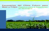 en Nicaragua€¦ · Escenarios del clima futuro para maíz y frijol: Caminos para la adaptación en Nicaragua 5 Siglas1 ACJ Asociación Cristiana de Jóvenes en Nicaragua. ADAA Área