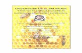 UNIVERSIDAD DE EL SALVADOR - REDICCESredicces.org.sv/jspui/bitstream/10972/685/1/10136585.pdfparte de muchos apicultores de constituir una entidad como Ecomorazán, con la que su fundador,