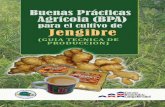 (GUIA TÉCNICA DE PRODUCCIÓN)coopesmeralda.com/sitio/wp-content/uploads/2015/07/... · conocimiento de Buenas Prácticas Agrícolas (BPA) y Buenas Prácticas de Manufactura (BPM)
