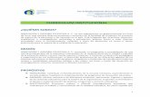 INNOVACIÓN Y ASESORÍA EDUCATIVA Aiae.org.mx/CURRICULUM-IAE-AC-marzo-2017.pdf · y organizativo de sus instituciones, el desarrollo profesional de los diferentes agentes de los sistemas