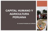 CAPITAL HUMANO Y AGRICULTURA PERUANA · - Mi chacra emprendedora – Haku Wiñay …Rol del Estado frente al capital humano en la agricultura «Escuela de talentos locales o Escuelas