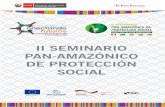 II SEMINARIO PAN-AMAZÓNICO DE PROTECCIÓN …...para los programas Juntos y Haku Wiñay/Noa Jayatai Norma Correa (Pon ﬁcia Universidad Católica del Perú) 3. Experiencias y aprendizajes