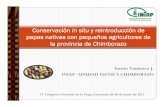Conservación in situ y reintroducción de papas nativas con ...... · Fausto Yumisaca J. INIAP - UNIDAD TECNICA CHIMBORAZO Conservación in situ y reintroducción de papas nativas