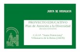 PROYECTO EDUCATIVO Plan de Atención a la Diversidad³n-a-la-Diversidad-2016-17.pdf3 C.E.I.P. “Santa Potenciana” (Villanueva de la Reina) PROYECTO EDUCATIVO Plan de Atención a