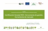 Certificación forestal PEFC: Herramienta de gestión, Herramienta de … · 2017-10-26 · Elemento Estratégico 11: Promoción de la Gestión Forestal Sostenible a través de la