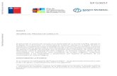 SFG3651 Public Disclosure Authorizeddocuments.worldbank.org/curated/en/114301506016128107/pdf/SF… · Estudiante con ascendencia mapuche de la Universidad de La Frontera. Usuario