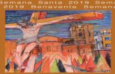 Semana Santa 2019 Sema 2019 Benavente Semana · organista Jorge García Martin acompañado por la soprano Mar Codina. 5 SEMANA SANTA 2019 ... A las 11:00 horas,PROCESIÓN DE LAS PALMAS.