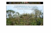 BORRADOR PLAN DE MANEJO “PARQUE NATURAL PROVINCIAL … · Rol del Parque Natural Provincial Fuerte Esperanza en el ... Además protege a especies de fauna en peligro como el yaguareté,