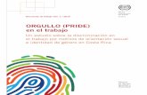 ORGULLO (PRIDE) en el trabajo · Orgullo (PRIDE) en el trabajo Un estudio sobre la discriminación en el trabajo por motivos de orientación sexual e identidad de género en Costa