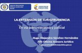 LA EXTENSIÓN DE JURISPRUDENCIA...extensión de jurisprudencia, dando inicio a la fase judicial. ... Ejemplo: Sentencia 17 de mayo de 2007 (8464-05): Reajuste de asignaciones de retiro
