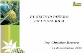 EL SECTOR PIÑERO EN COSTA RICA...Producción Sostenible de la Piña y del Control de Riesgos Laborales en la Agricultura de la Piña. Premiación de Finca con cumplimento del SG PSP