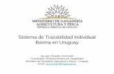 Sistema de Trazabilidad Individual Bovina en Uruguay · animales. identificados, -operadores. de movimiento, -transacciones. de animales identificados y lotes de animales, -interdicciones