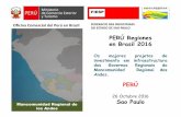 PERÚ Regiones en Brasil 2016 · PROYECTO: Megapuerto de San Juan de Marcona ... Embarque de Minerales ... PUERTO DE SAN JUAN DE MARCONA ACODERAMIENTO DE NAVES El Megapuerto permitirá