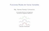 Funciones Reales de Varias Variables - Yolahermes22.yolasite.com/resources/Funciones Varias Variables UNI_20… · 162 FuncionesReales deVariasVariables Mg. Hermes PantojaC. Funcionesde