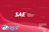 Estructura SAE 5 - Terabytesolucionesterabyte.com/pdf/PresentacionSAE50.pdf · Antecedentes • Aspel-SAE nace hace más de 20 años como una solución para controlar el ciclo de