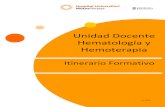 Unidad Docente Hematología y U Hemoterapia · 2020-03-22 · El itinerario formativo es un manual informativo sobre la formación especializada en una determinada unidad docente