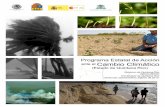 Programa Estatal de Acción ante el Cambio Climático · Programa Estatal de Acción ante el Cambio Climático en Quintana Roo ... diseño, construcción, operación, monitoreo, clausura
