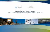 CAPACIDADES URUGUAYAS PARA LA COOPERACIÓN SUR-SUR Y … · 2020-02-19 · iii. Área Ambiental 17 Ambiente para el desarrollo sostenible 18 ... país del Sur, suscribe a los principios