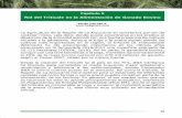 Rol del Triticale en la Alimentación de Ganado Bovinobiblioteca.inia.cl/medios/biblioteca/boletines/NR41112.pdfCuadro 3. Producción de materia seca y calidad nutritiva de triticale