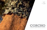 CORCHO · 2016-01-11 · corcho y para los hongos. Por una parte, el árbol alimenta al hongo, y éste, a su vez, facilita el acceso de las raíces del árbol a los nutrientes de