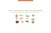 50 plantas medicinales en su huerta - Jalisco...Libro Plantas medicinales ISBN 978-958-57007-6-5 Impreso en Colombia por Panamericana ® Todos los derechos reservados Secretos para