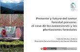Presente y futuro del sector forestal peruano: el …infobosques.com/portal/wp-content/uploads/2016/03/forest...Fabiola Muñoz Dodero Directora General Forestal y de Fauna Silvestre