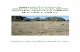 MANIFESTACIÓN DE IMPACTO AMBIENTAL-PARTICULAR DEL …sinat.semarnat.gob.mx/dgiraDocs/documentos/sin/e... · manifestaciÓn de impacto ambiental-particular del centro recreativo “macoyahui”,